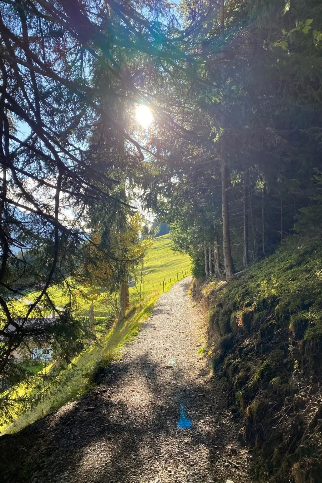 Alpenrose-Buiten