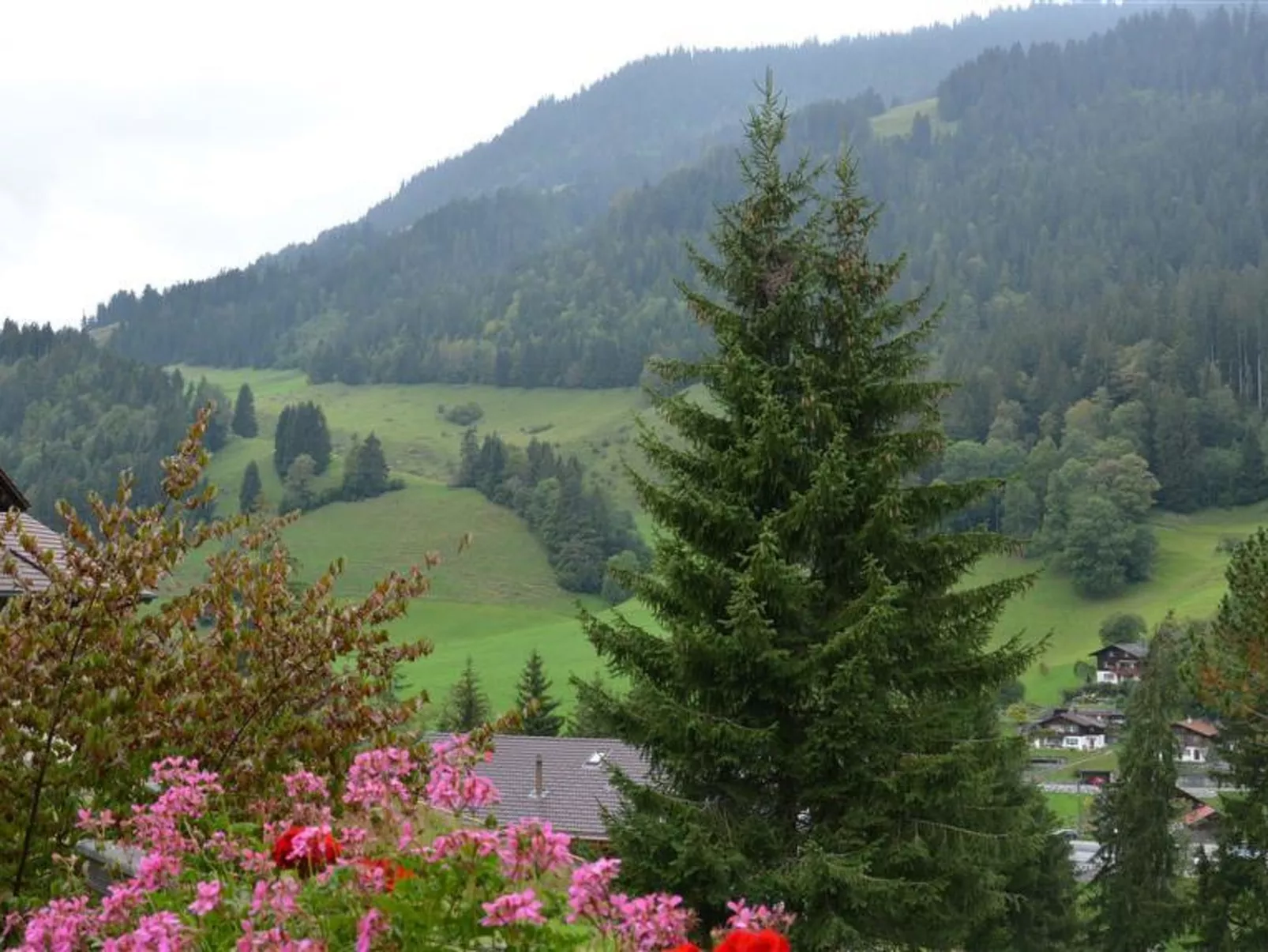 Spillgerten-Blick-Buiten