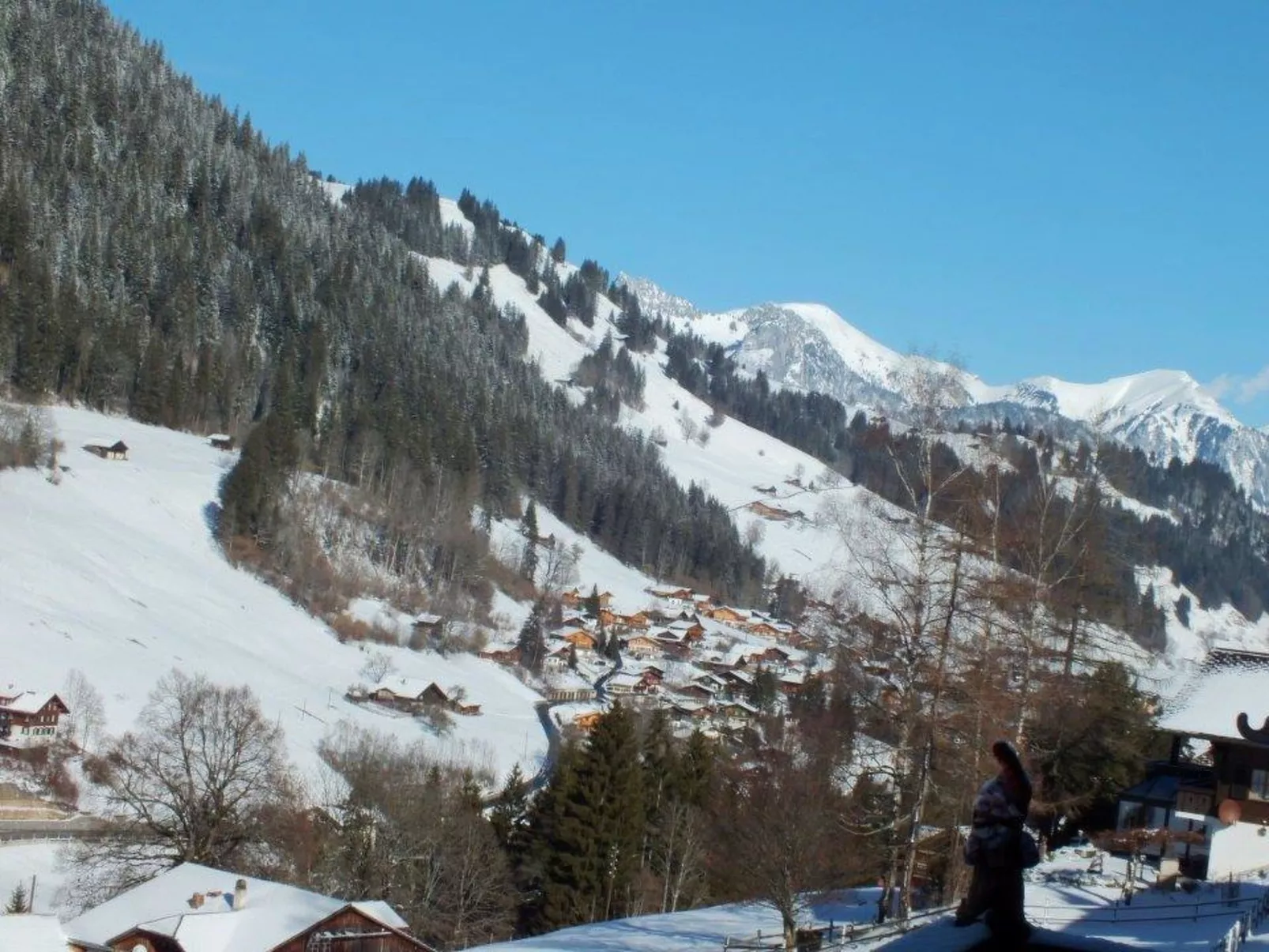 Altenried, Chalet-Buiten