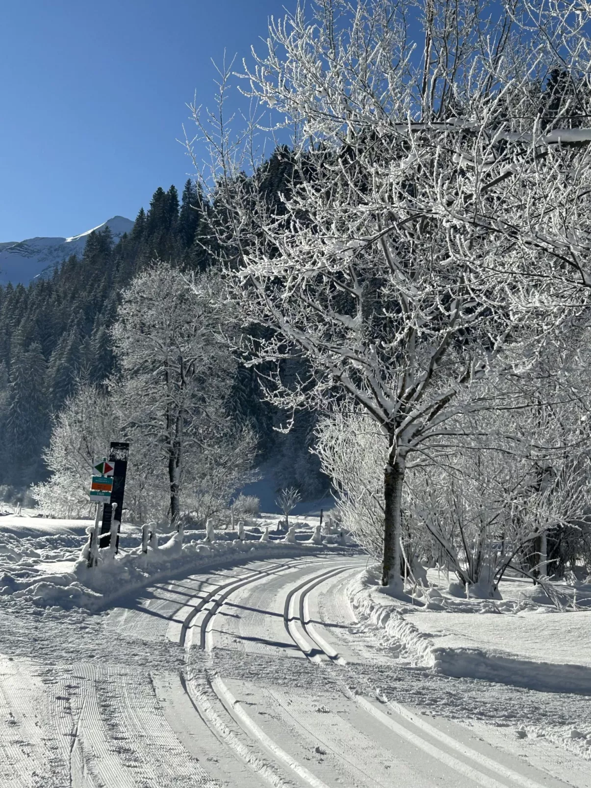 Chalet Claudia-Buiten