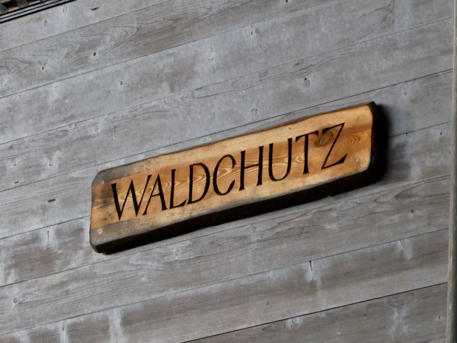 Chalet Waldchutz - Wohnung Anax-Binnen