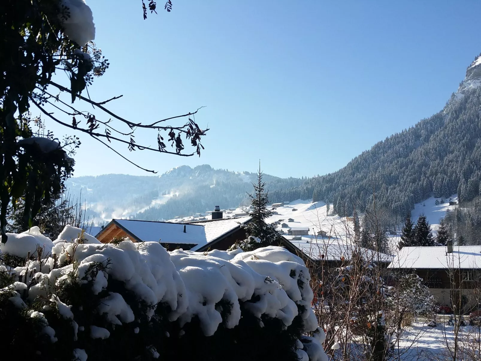 Chalet Flöschhorn-Buiten