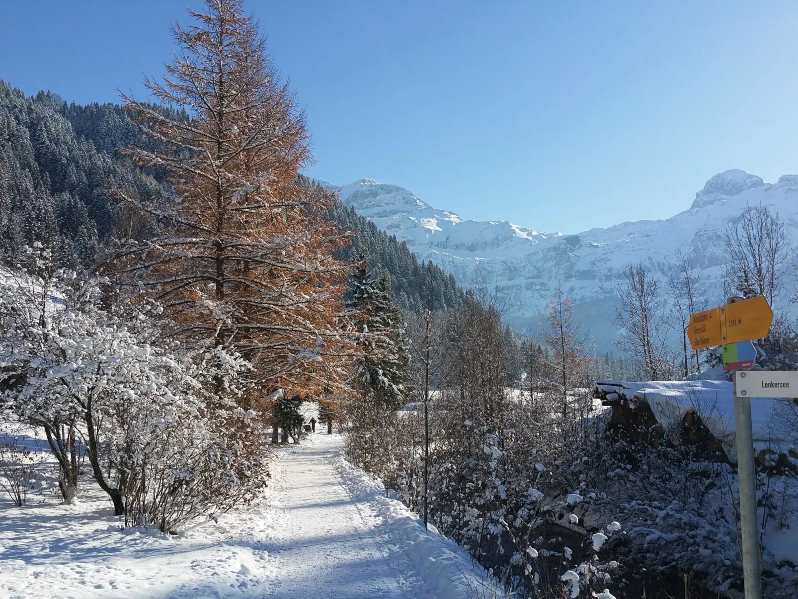 Chalet Flöschhorn-Buiten