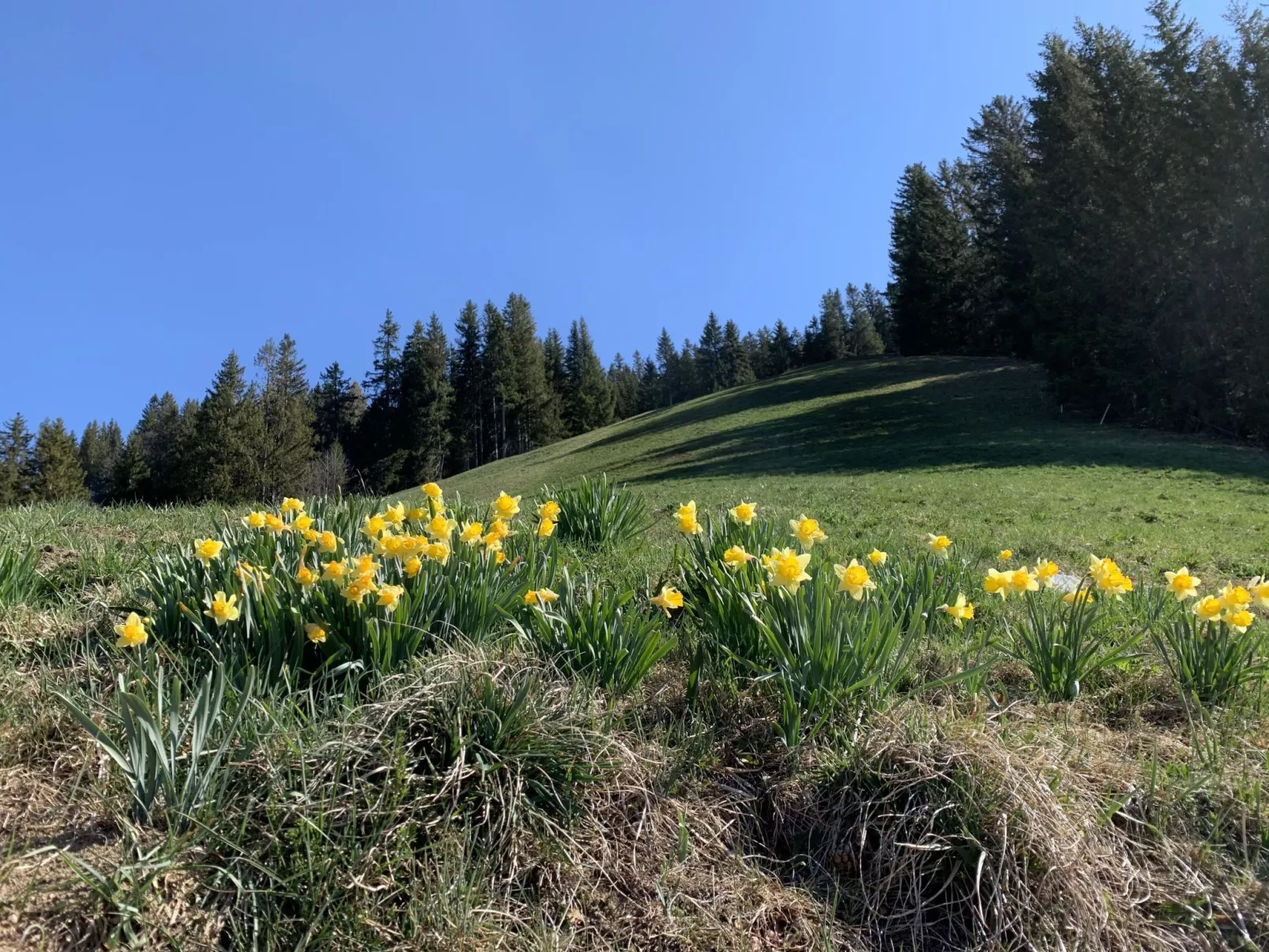 Meieli-Buiten