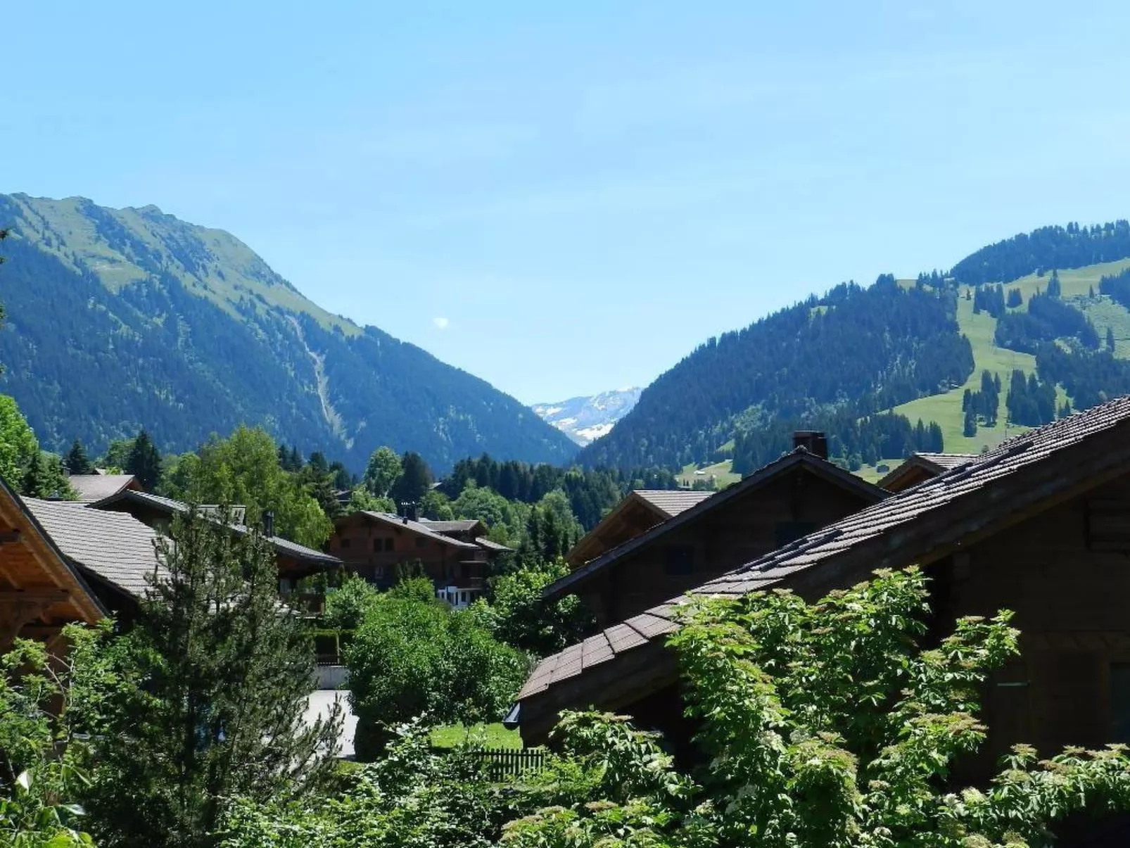 Im Wiesengrund-Buiten