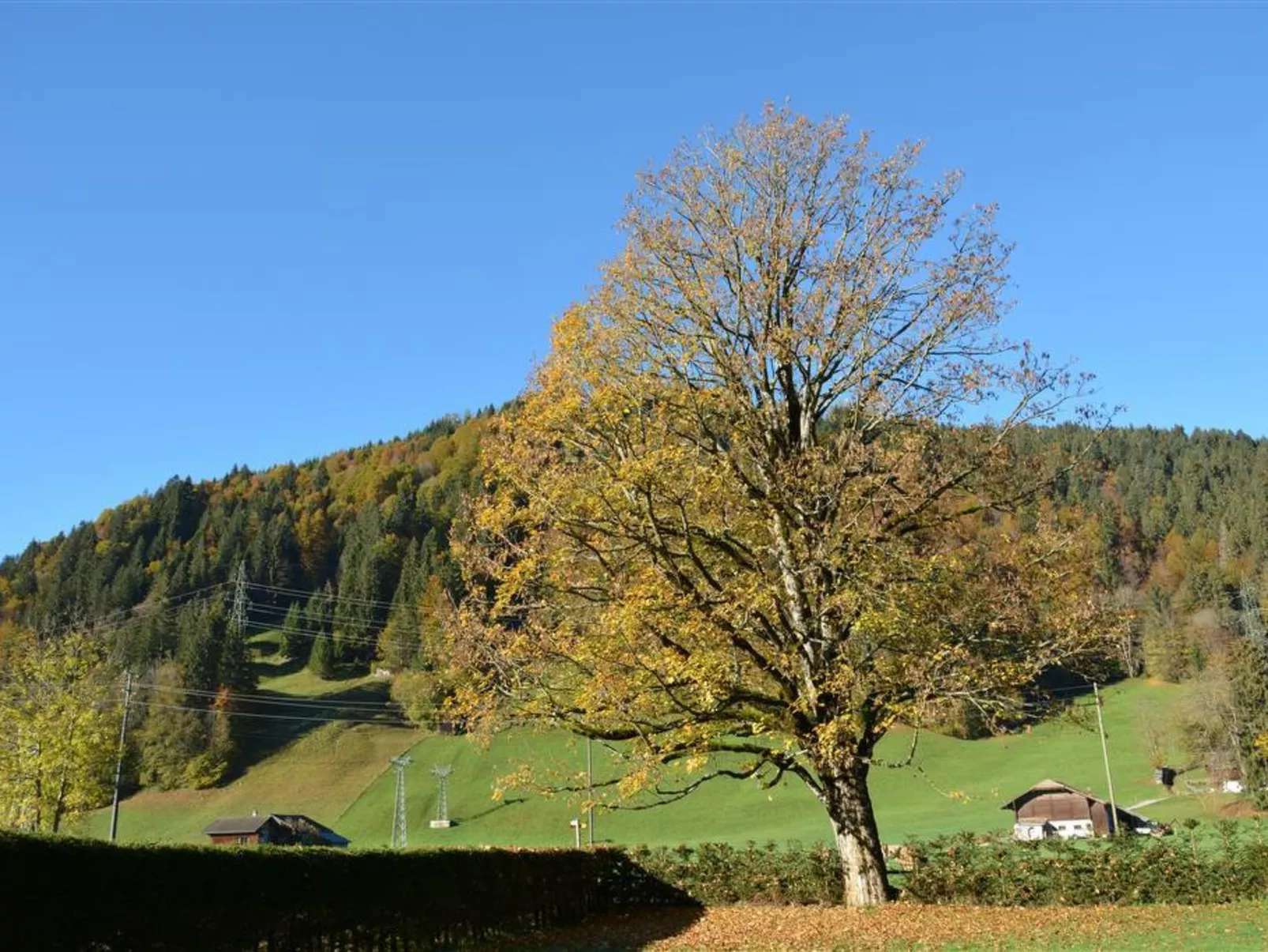 Oberland Nr. 7-Buiten