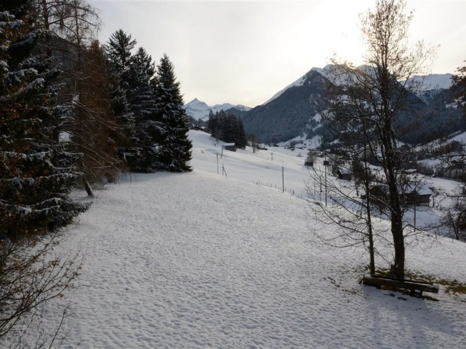 Les Erables, Chalet-Buiten