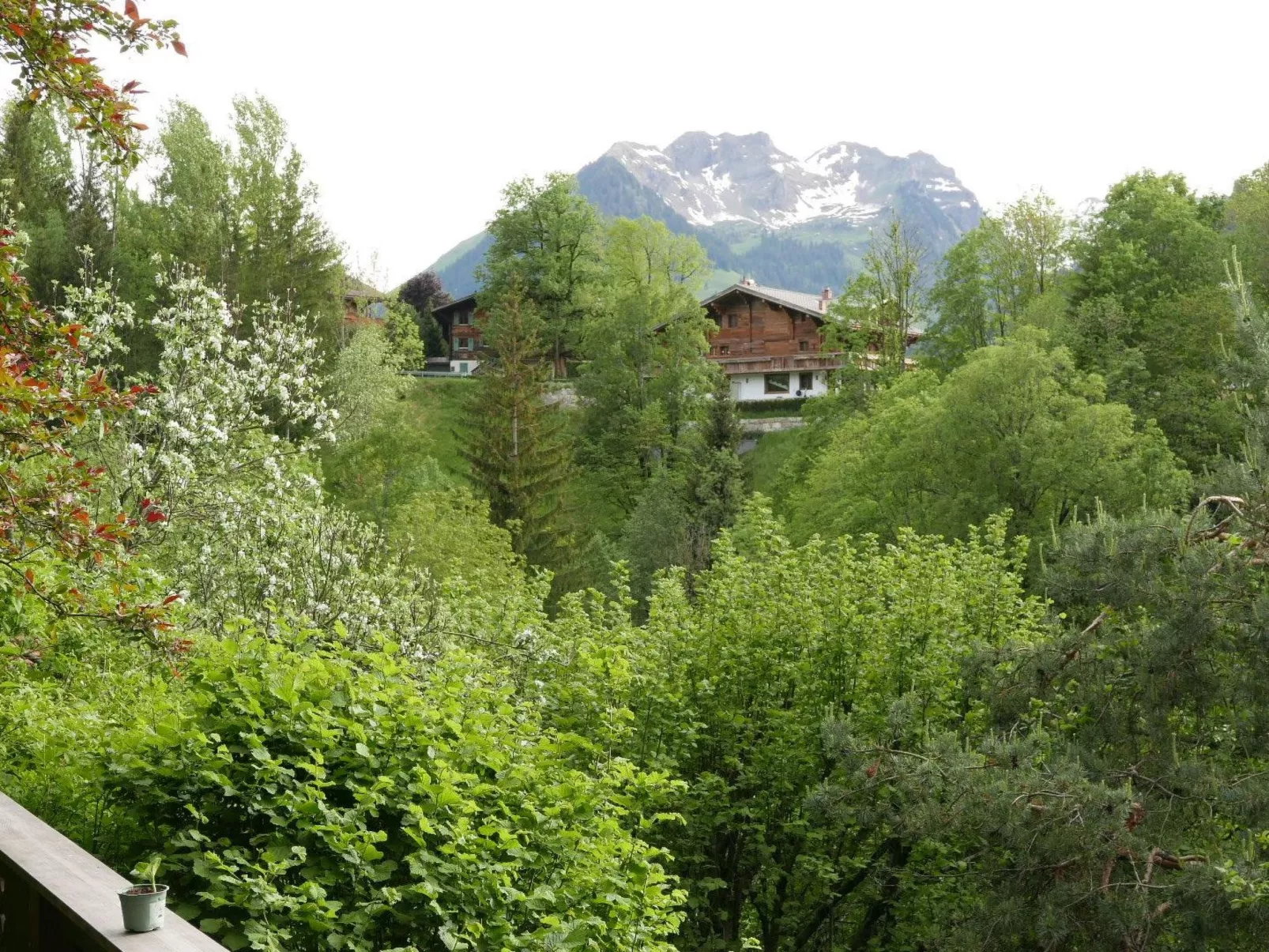 Tree-Tops, Chalet-Buiten