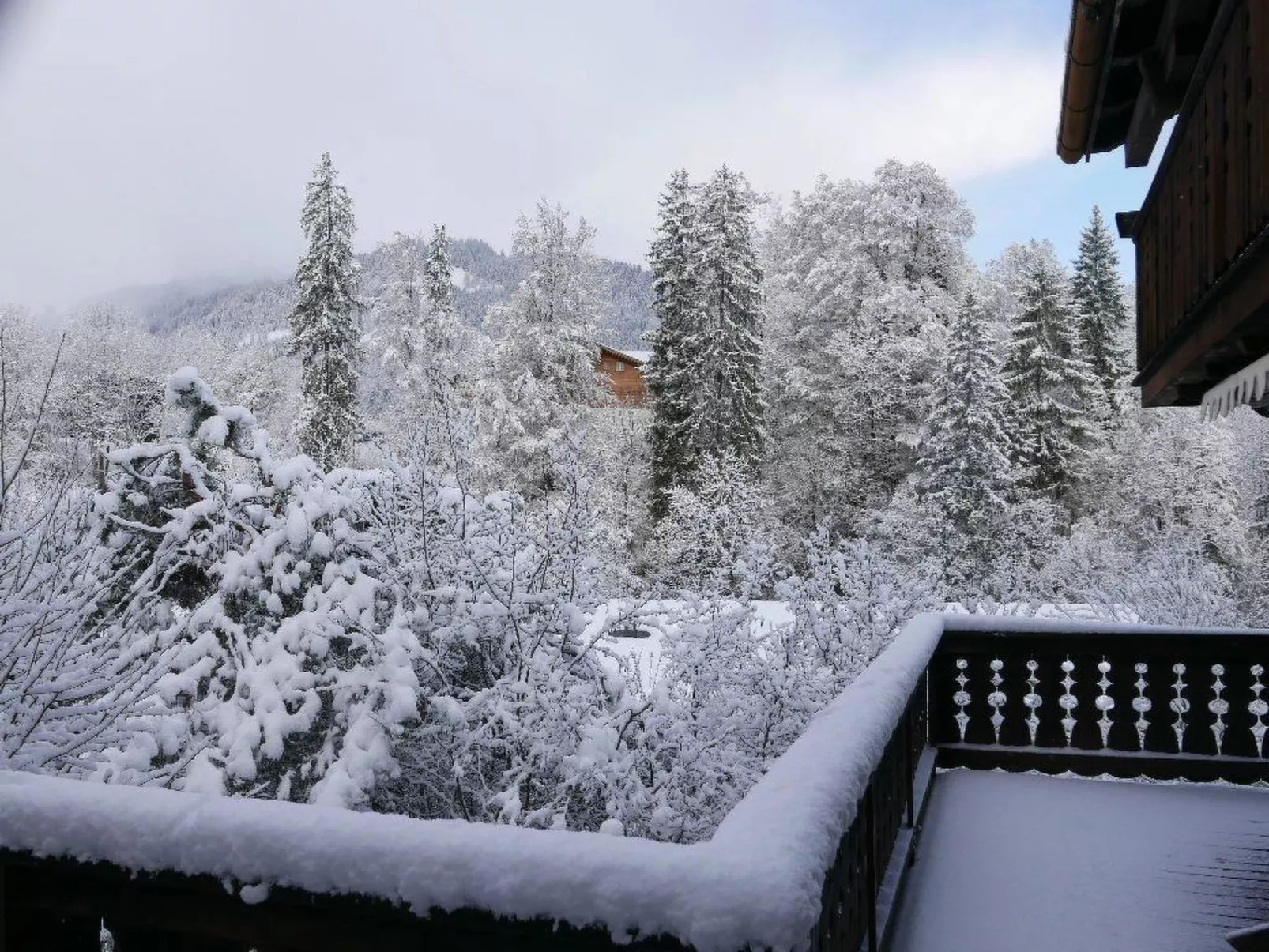 Tree-Tops, Chalet-Buiten