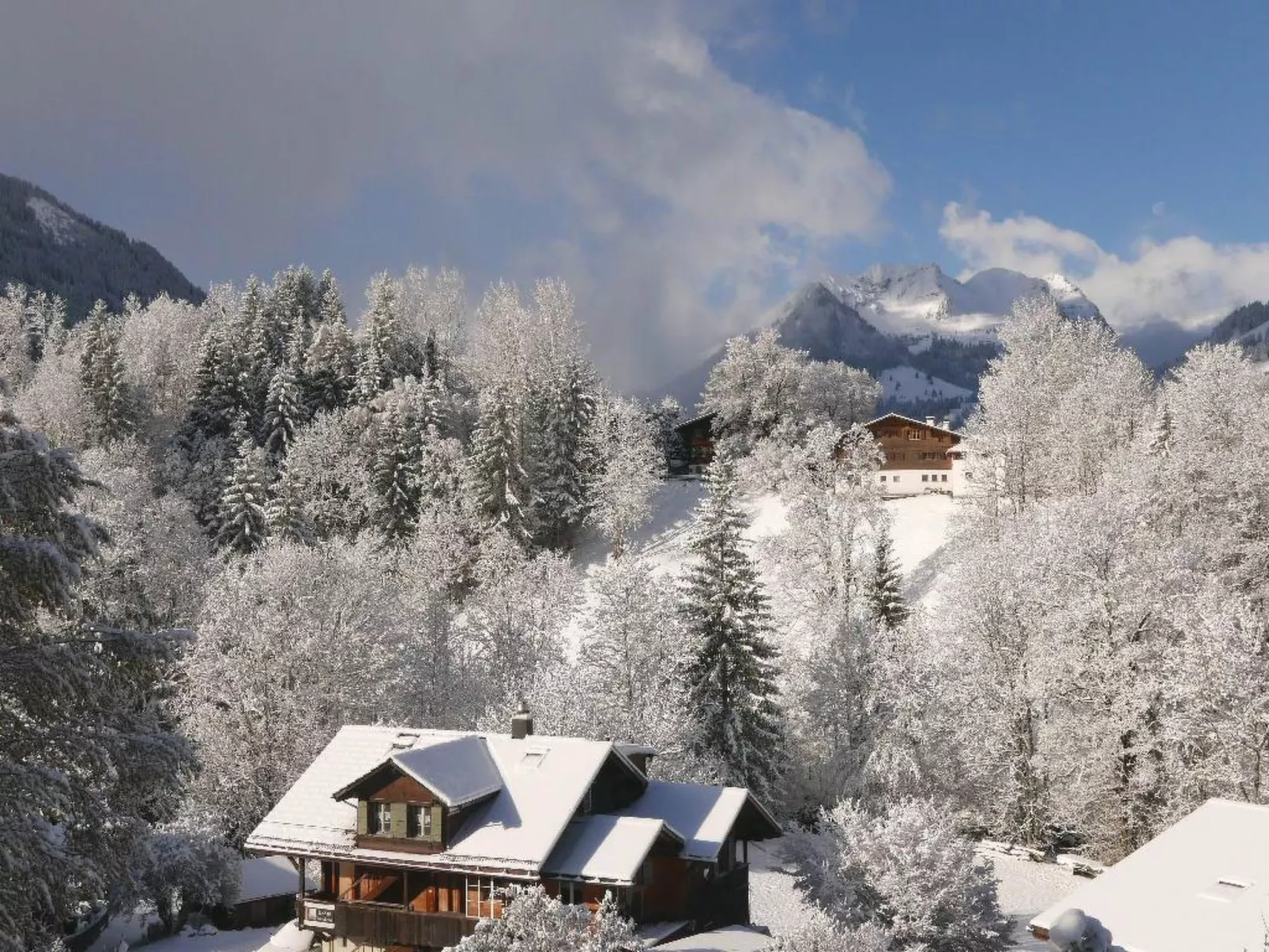 Tree-Tops, Chalet-Buiten