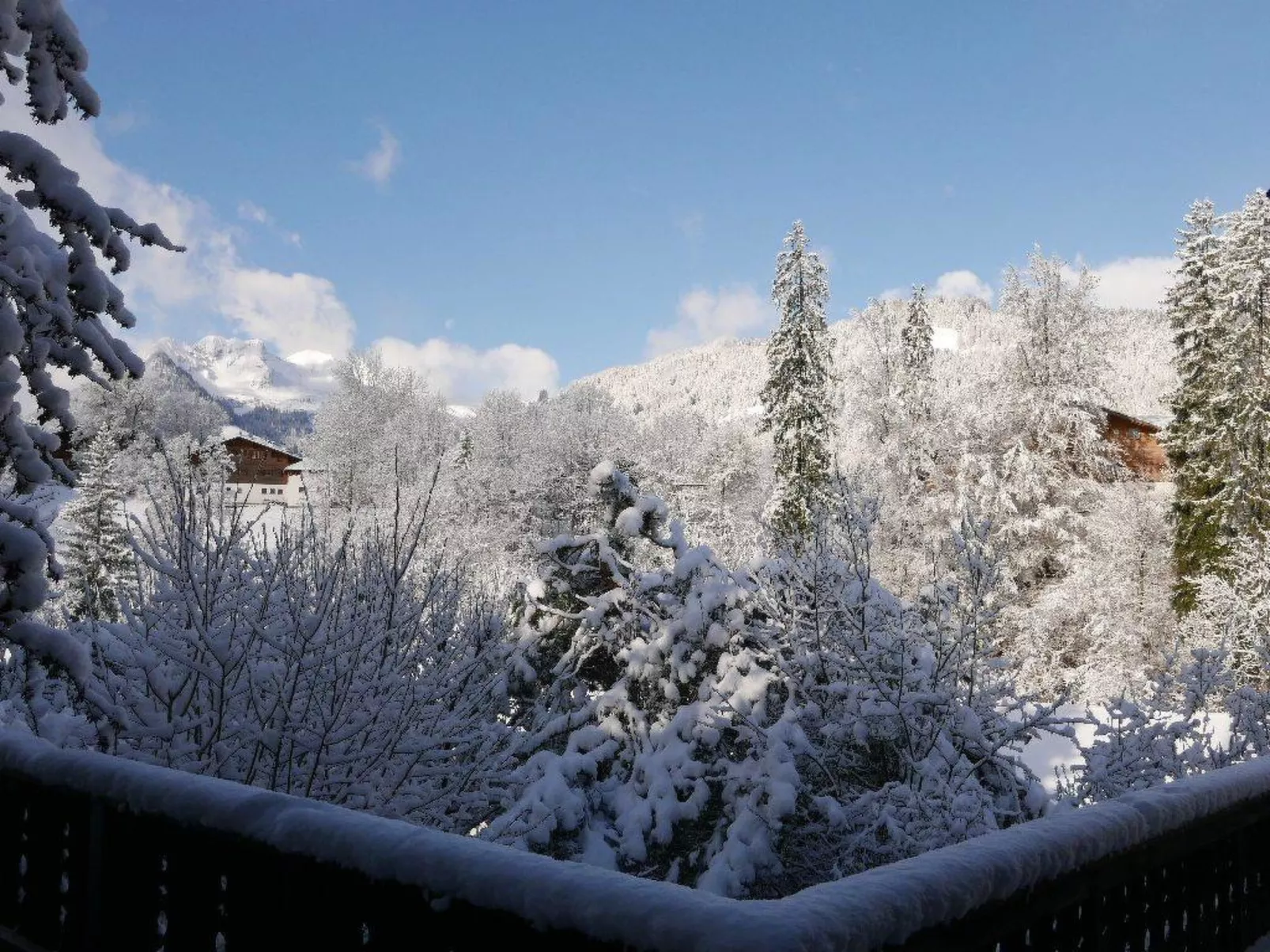 Tree-Tops, Chalet-Binnen