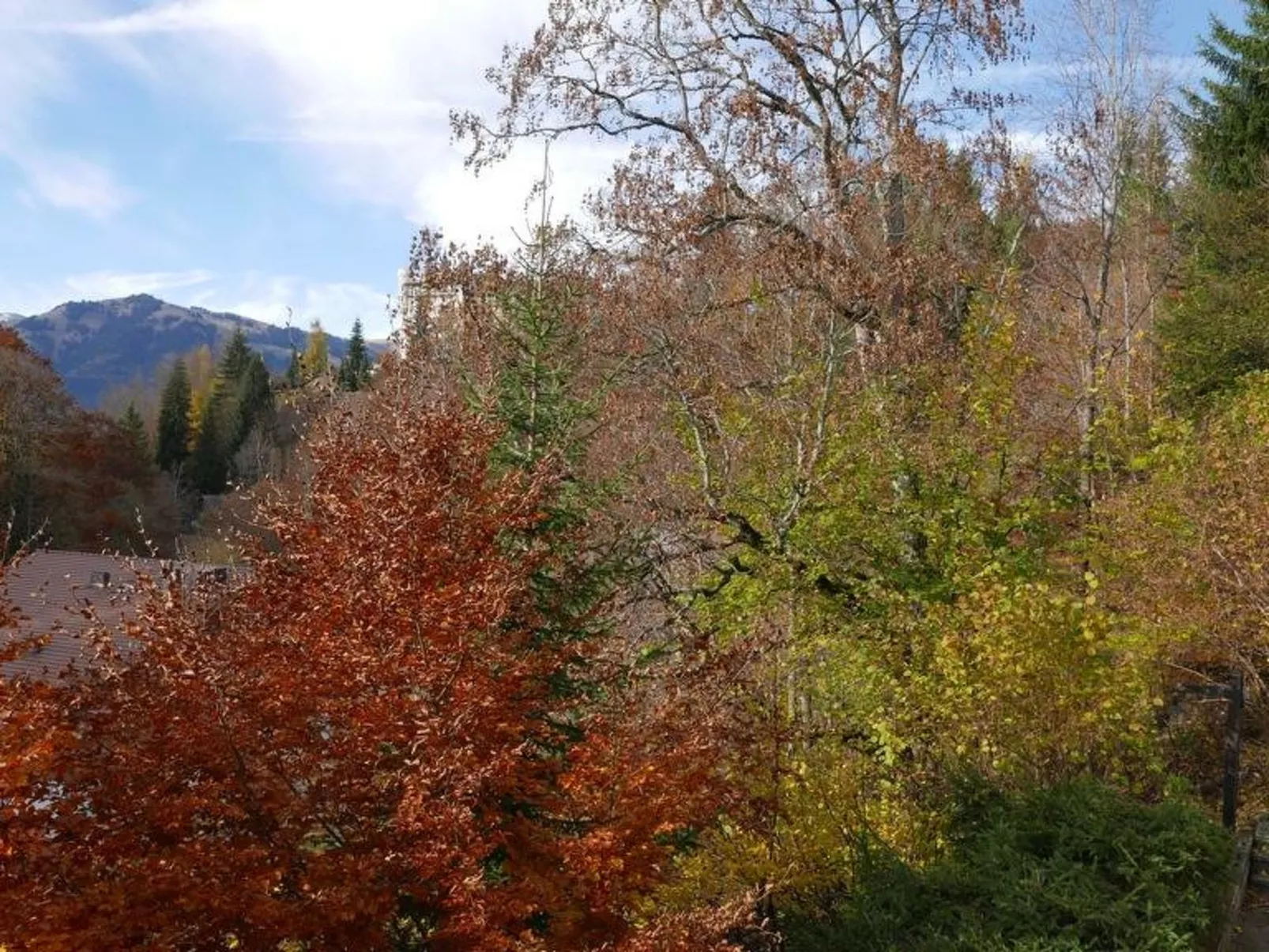 Tree-Tops, Chalet-Buiten