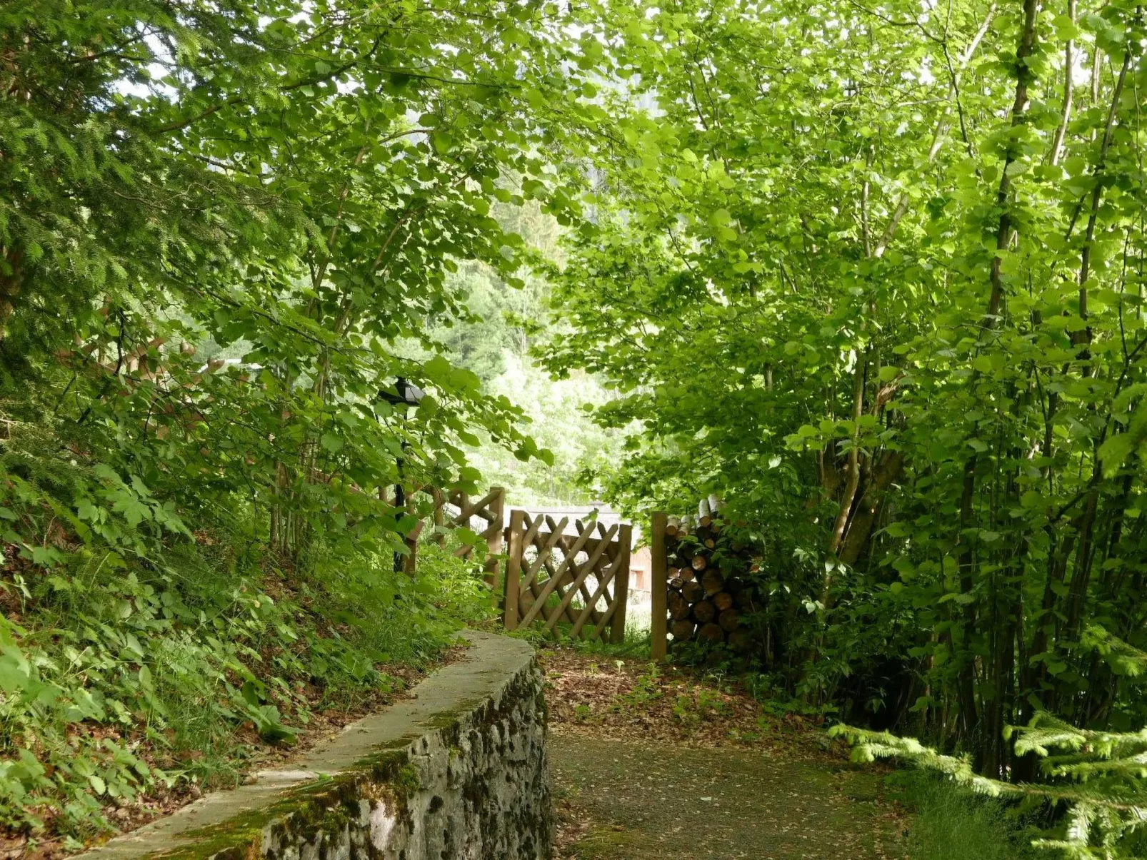 Tree-Tops, Chalet-Buiten