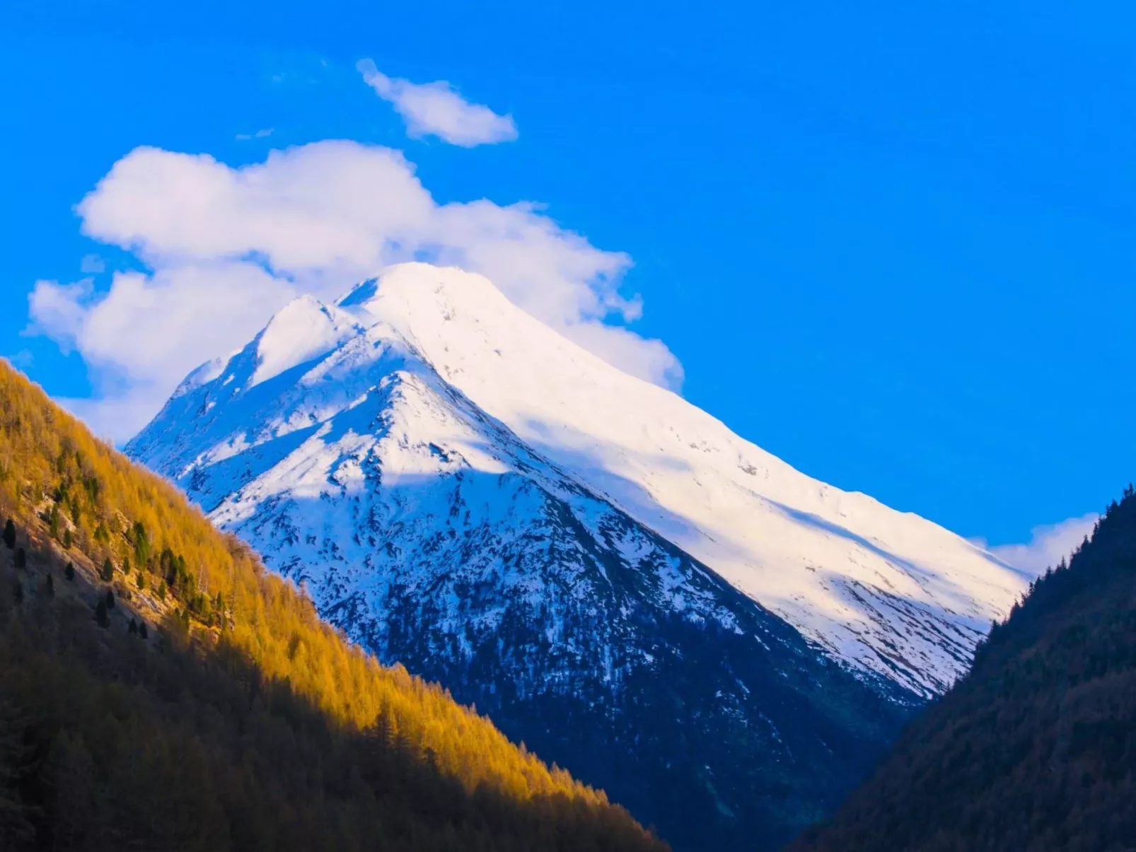 Monte Rosa-Buiten