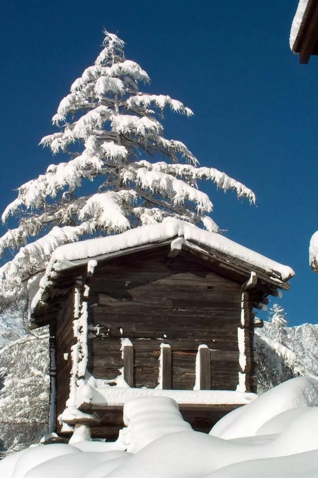 Chalet Alpenrösli-Buiten