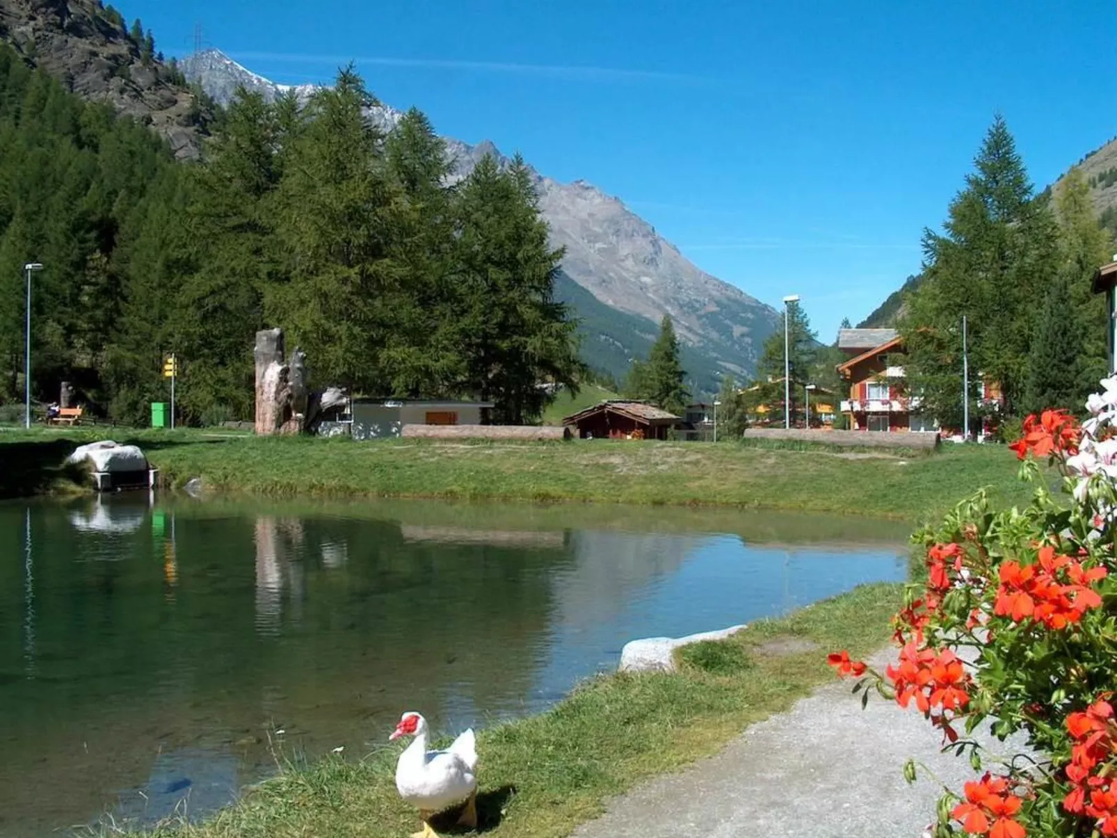 Chalet Alpenrösli-Buiten