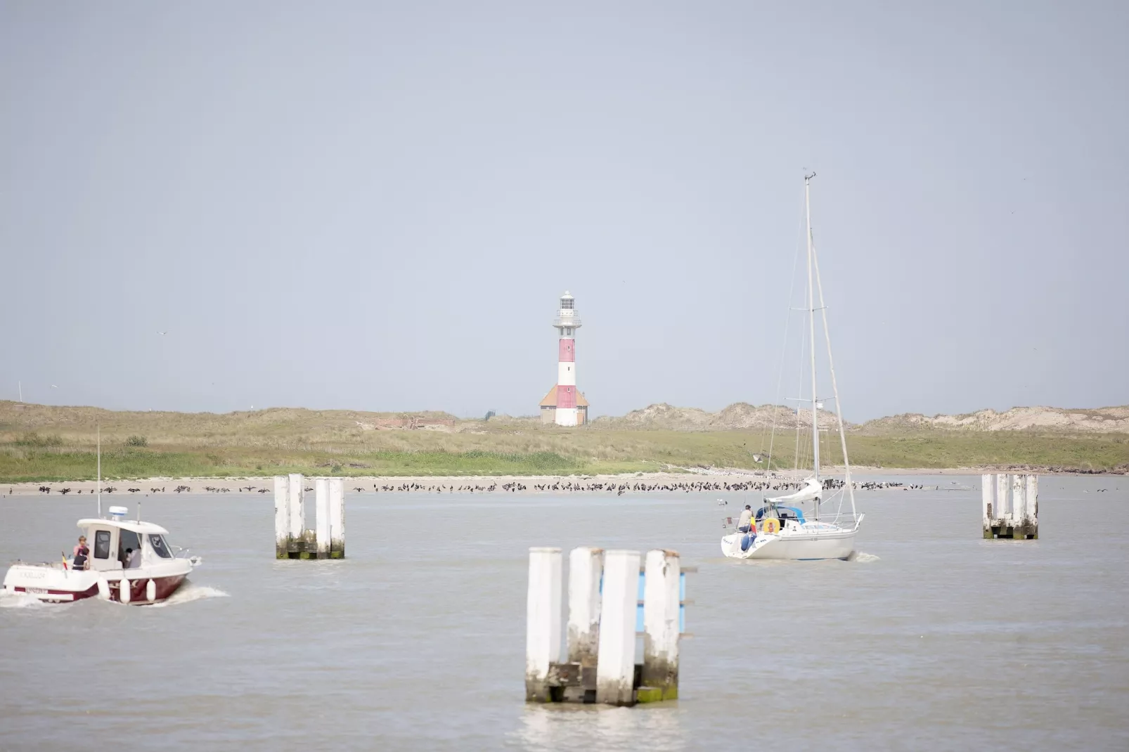 SEASIGHT A 1 / 0001-Gebieden zomer 5km