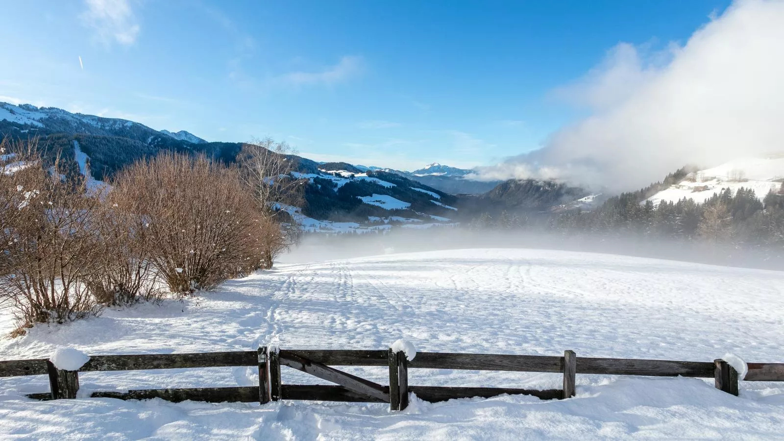 Hütte zum Dillental-Uitzicht winter