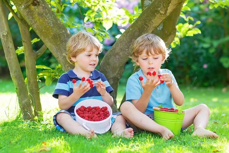 Domki wakacyjne na min 5 dób Domasławice-Tuinen zomer