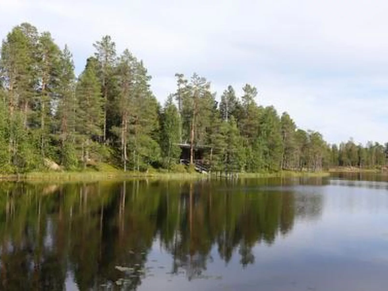 Metsä-luosto-Buiten