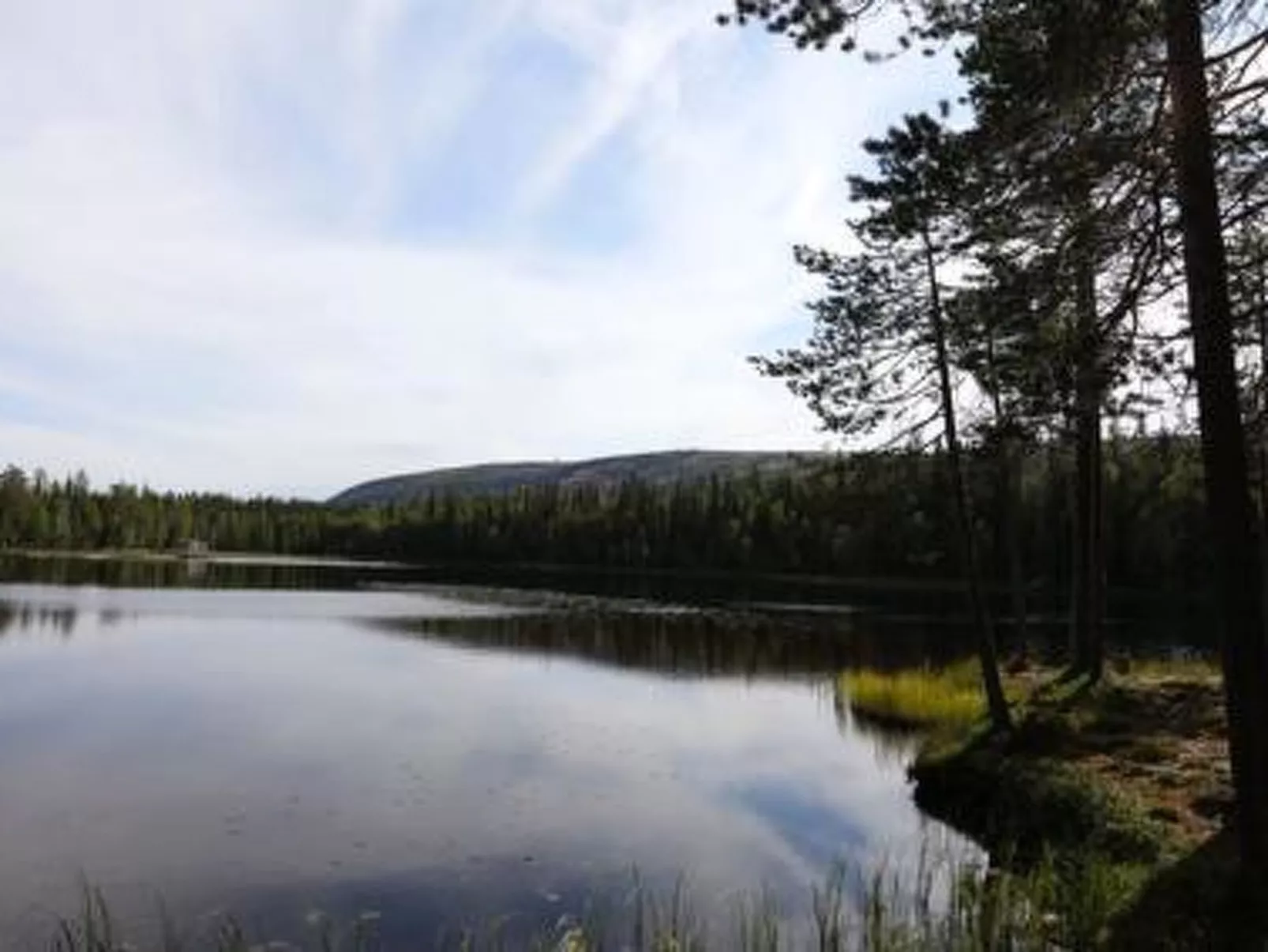 Metsä-luosto-Buiten