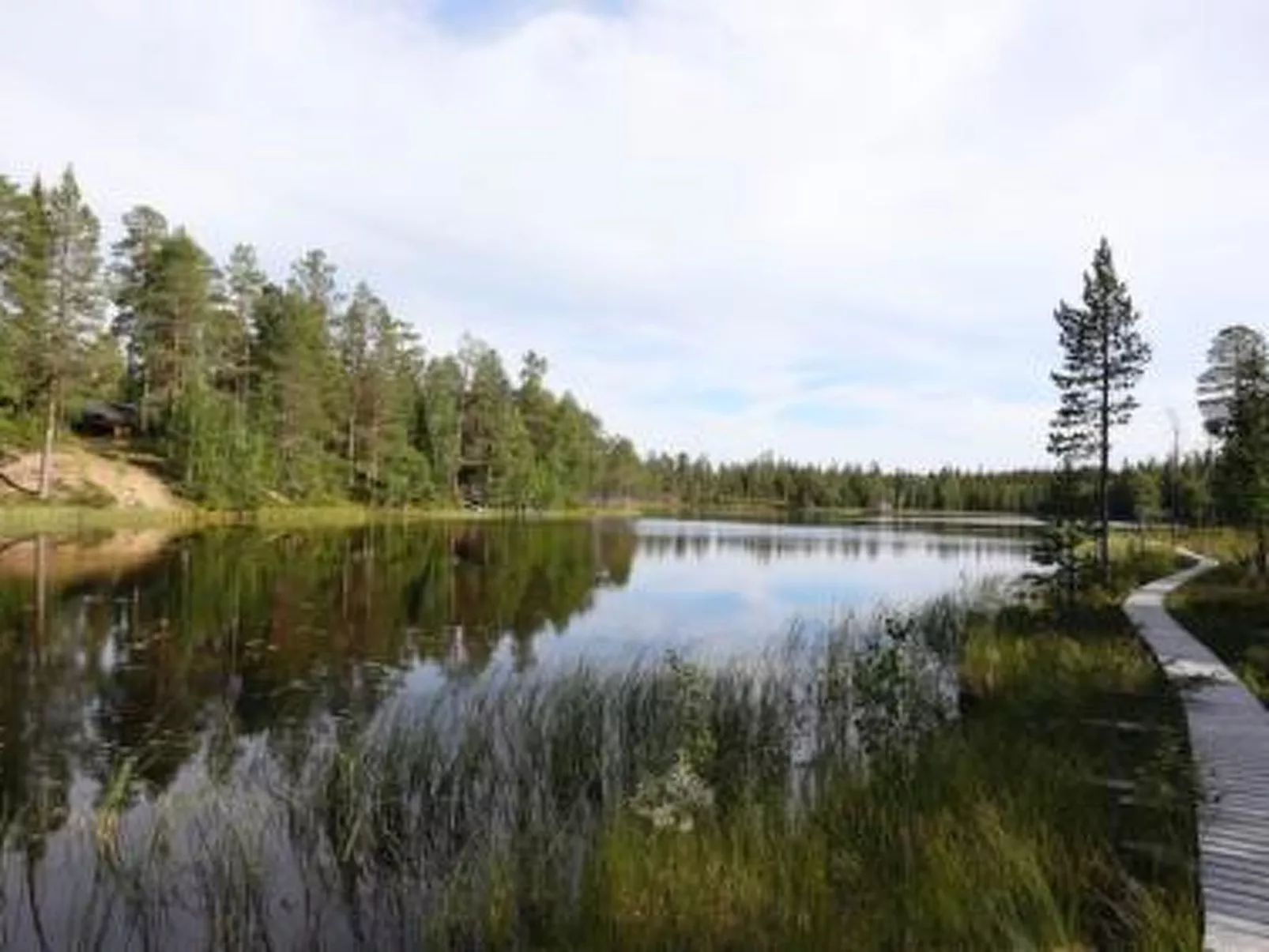 Metsä-luosto-Buiten