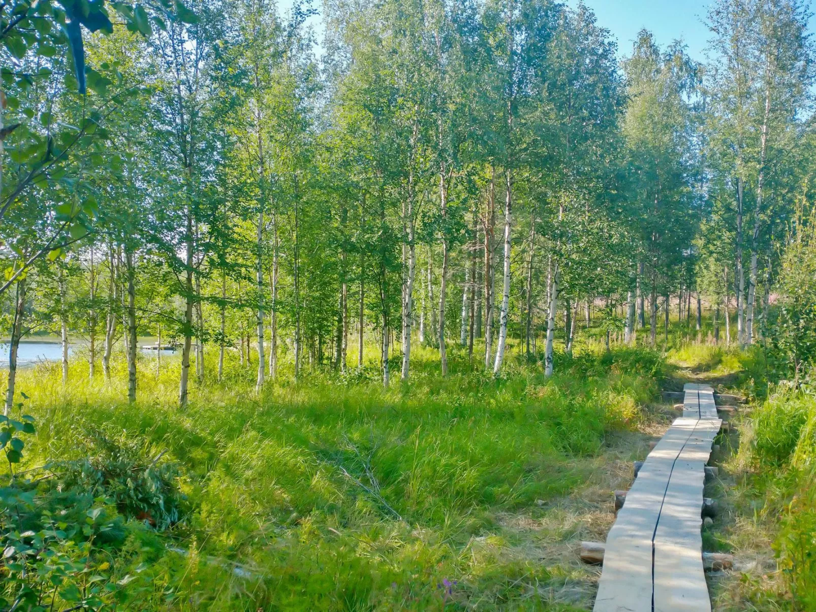 Huitsin nevada-Buiten