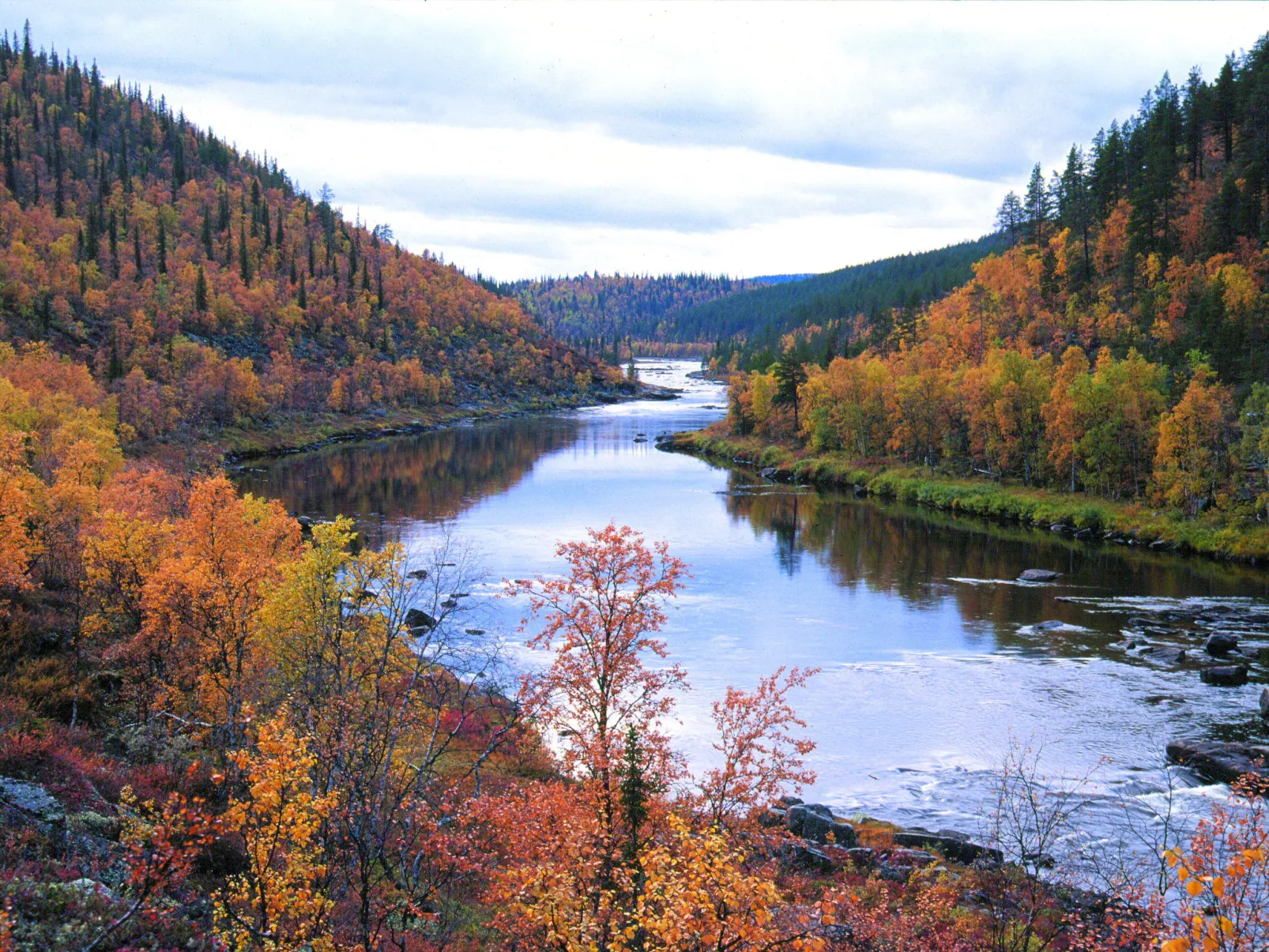 Tapiska-Omgeving