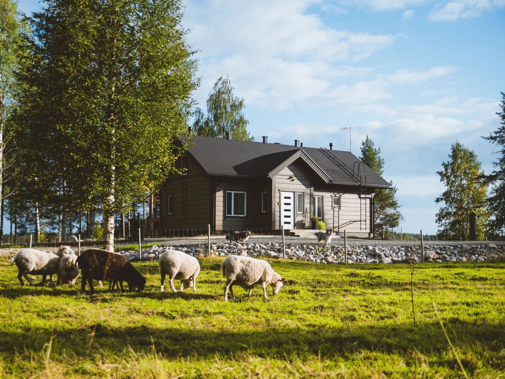 Villa lystikämä-Buiten