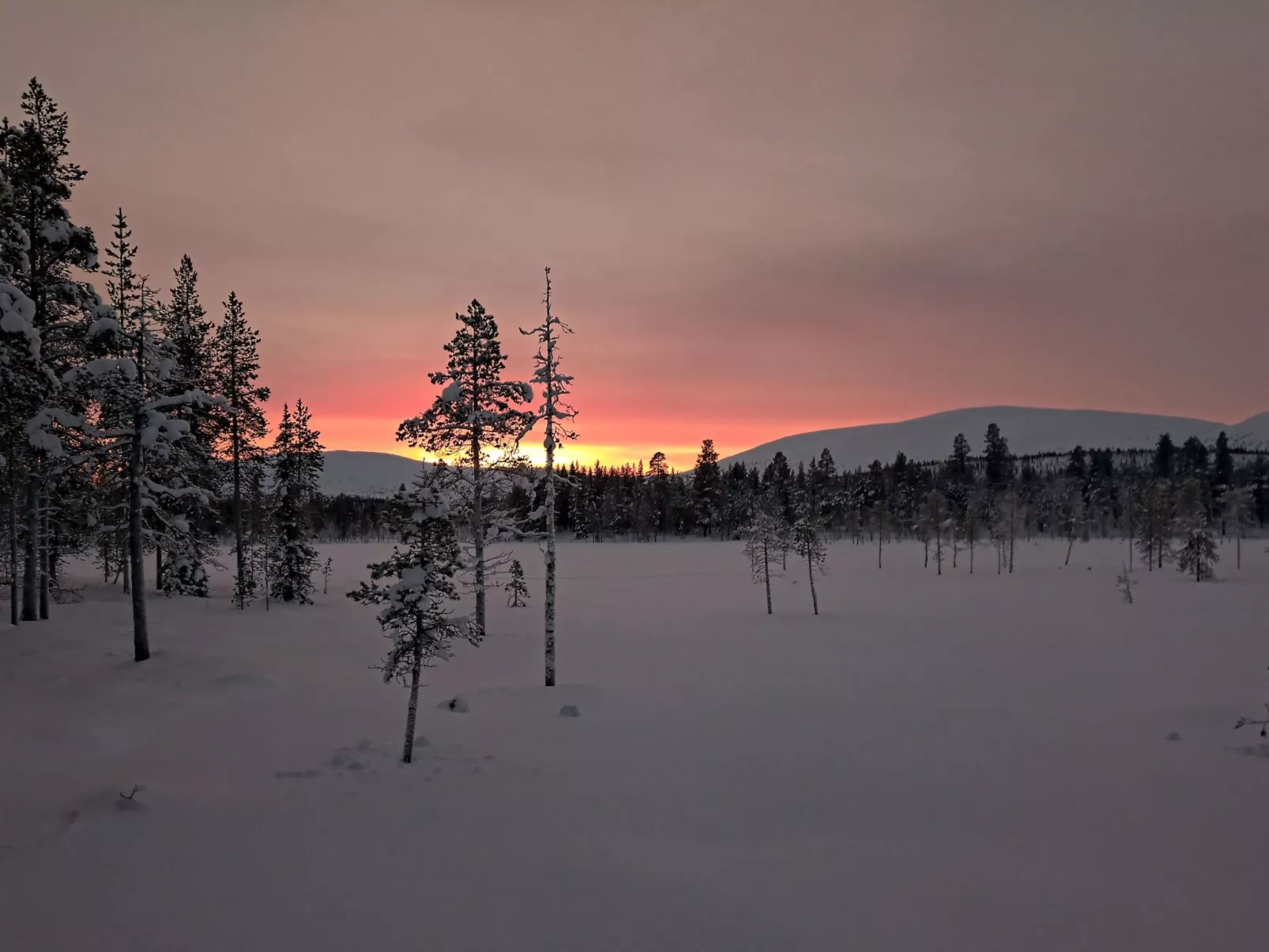 Tunturitupa kuolpuna-Buiten