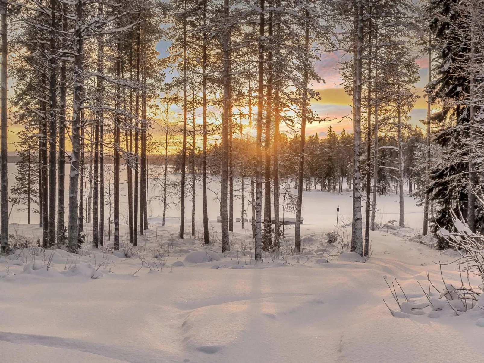 Rovaniemi ainola-Buiten