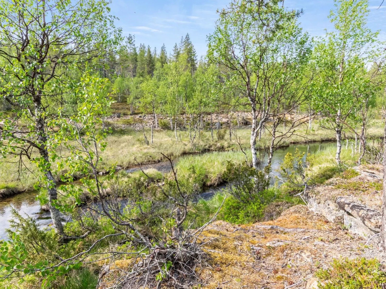 Oton kämppä-Buiten