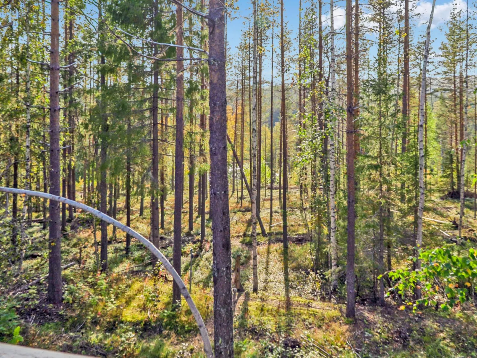 Lövgårdenin lohimaja-Buiten