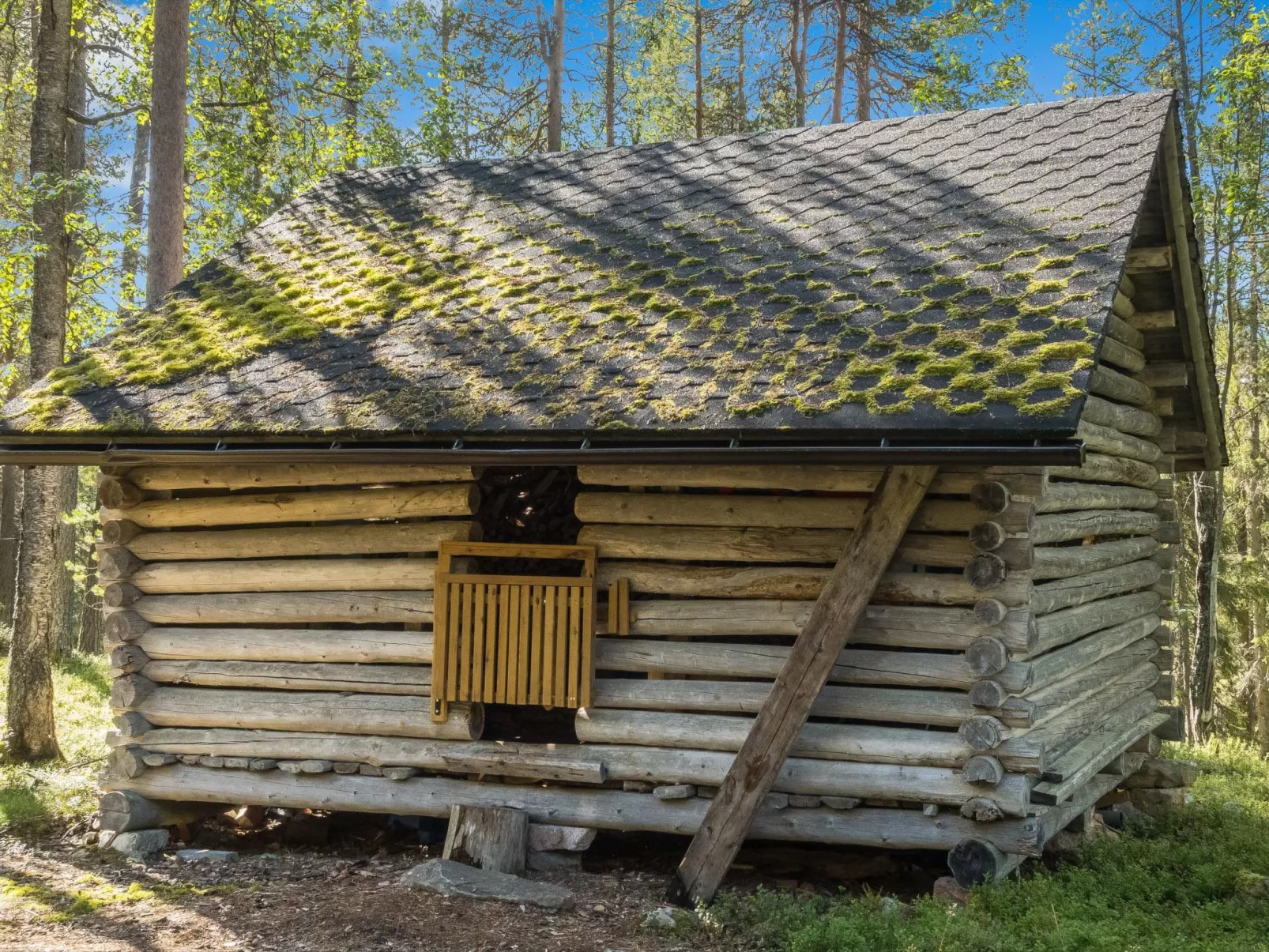 Ukkohermanni-Binnen