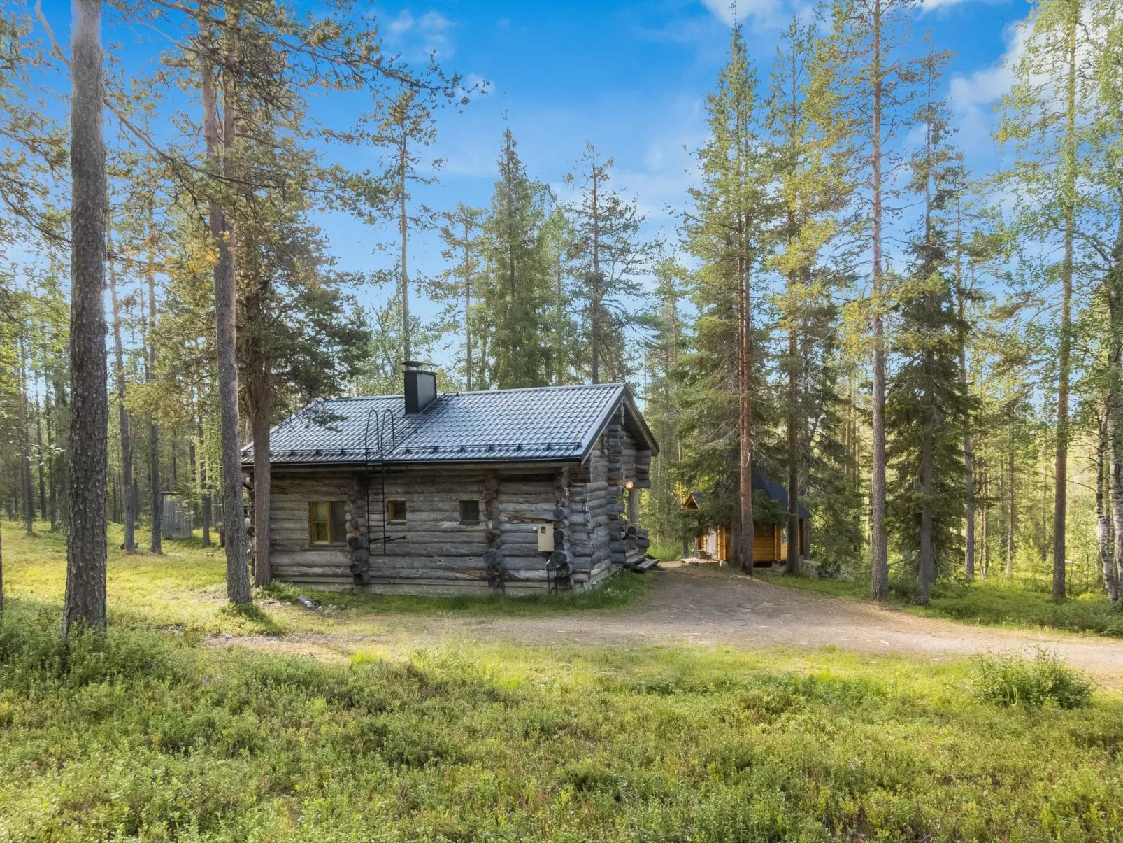 Ukkohermanni-Buiten