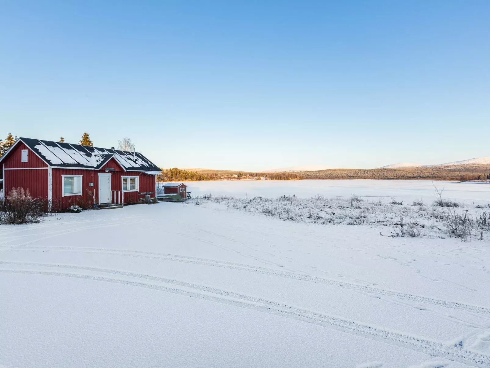 Tammukka i-Buiten