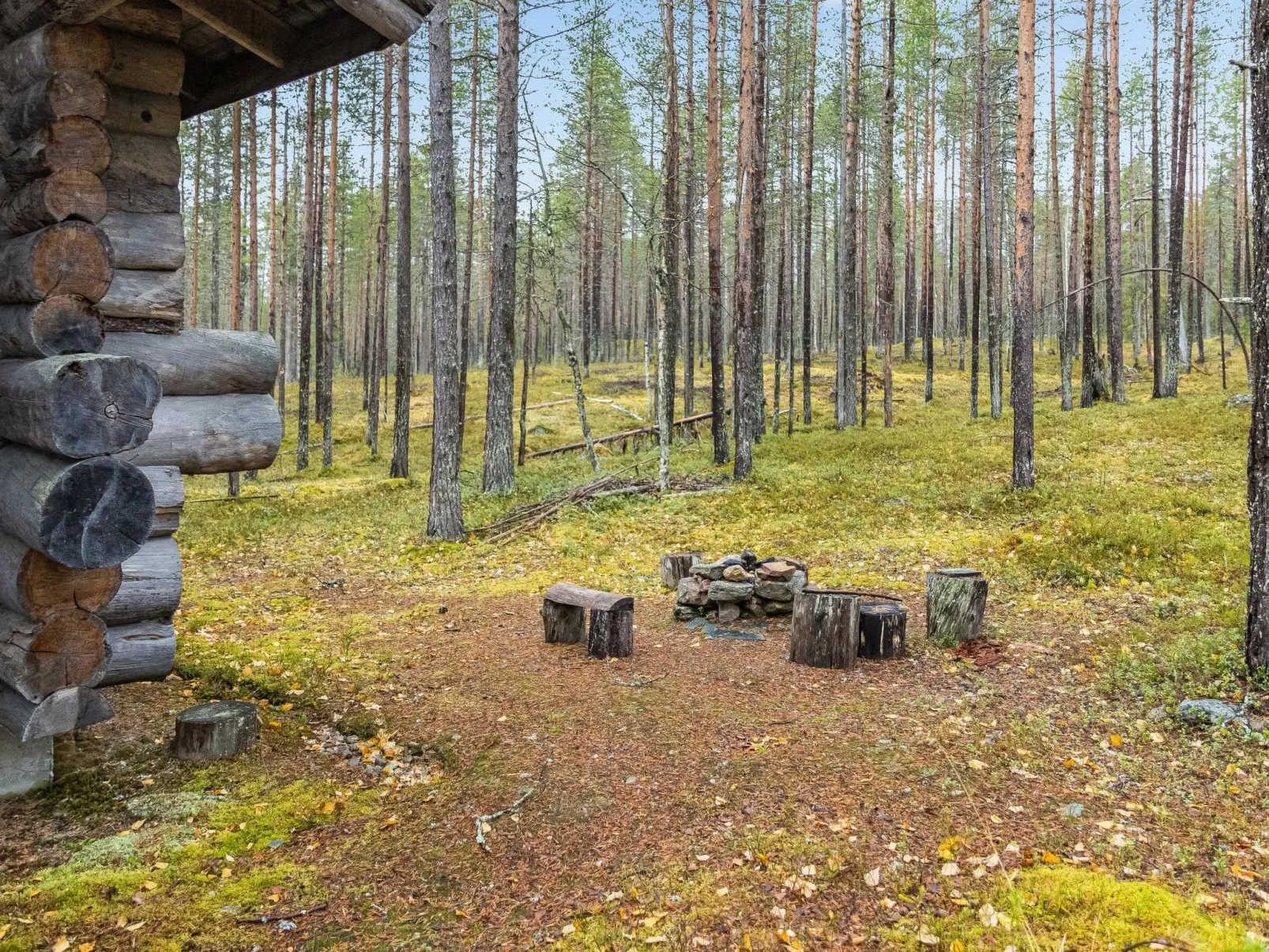 Ylläsnäkyy 7 / karkelo-Buiten