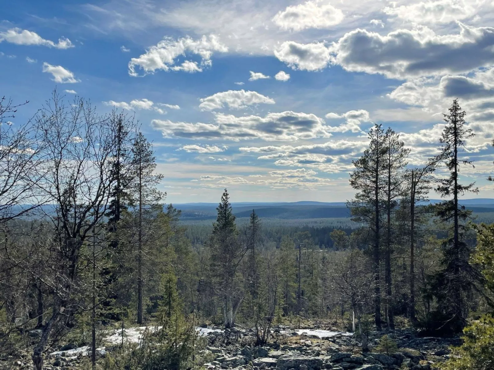 Ylläsriekko / itätupa-Buiten