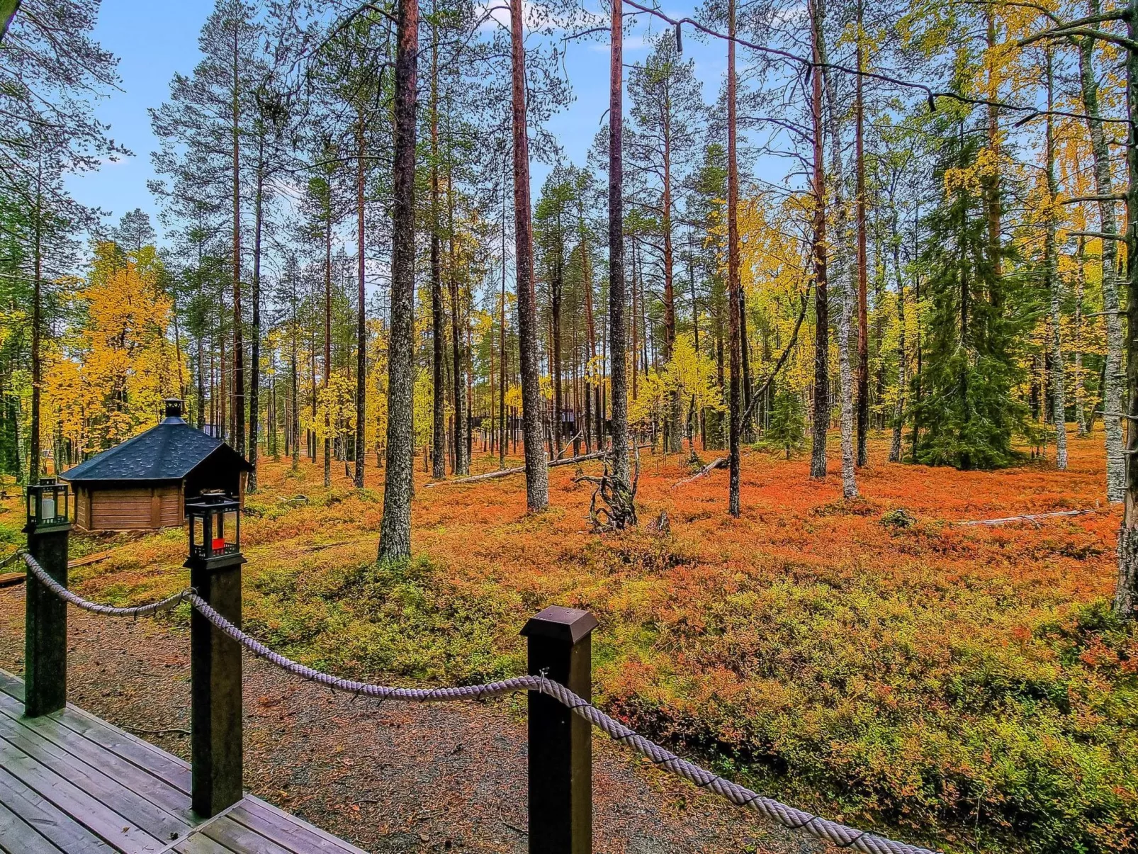 Arctic chalet-Buiten