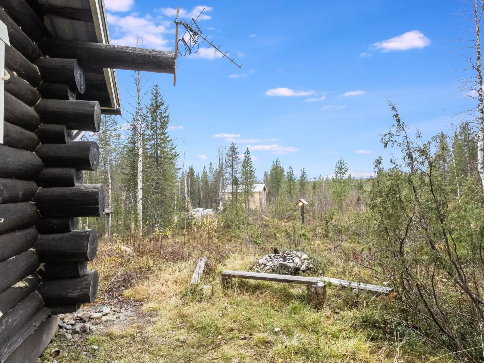 Tunturitähti, lainio-Buiten