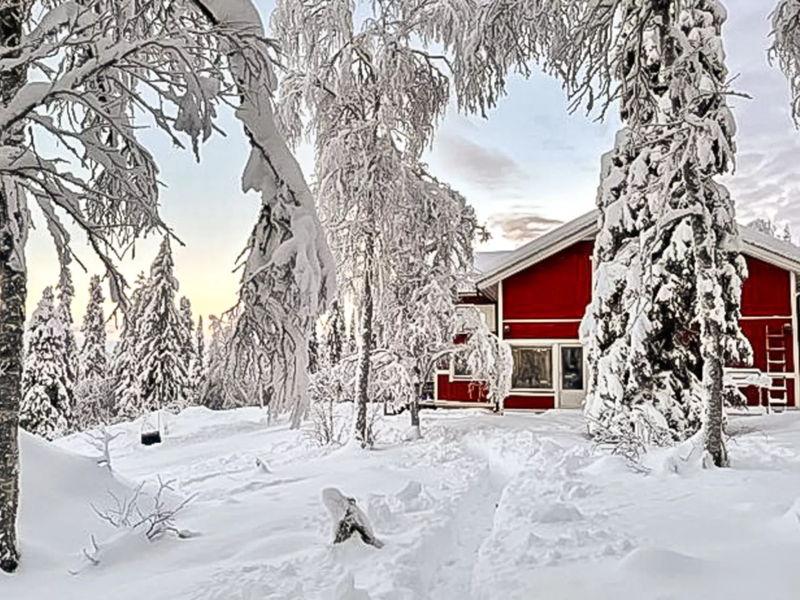 Pallaksen valkkorinne-Buiten