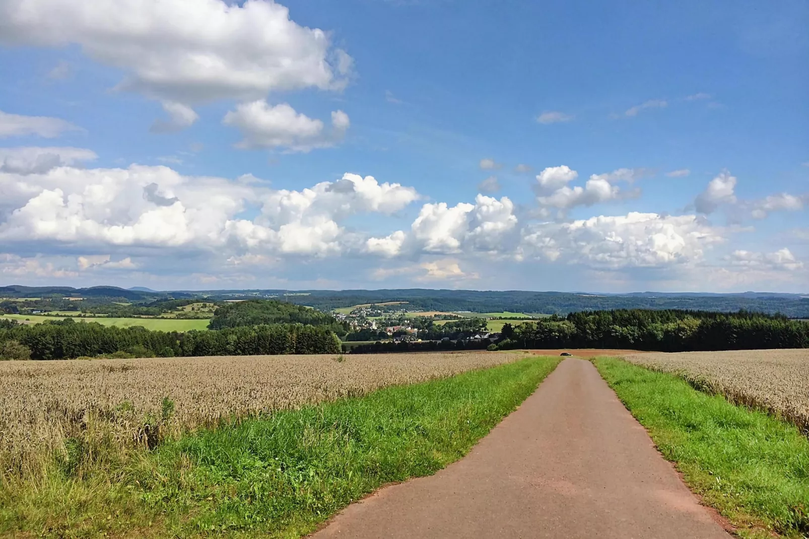 Habicht 4 Pers-Gebieden zomer 5km