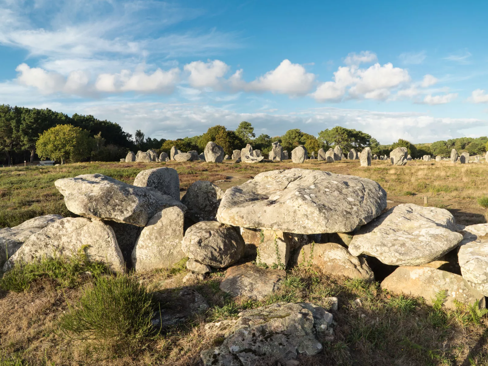 Les Guérins-Omgeving