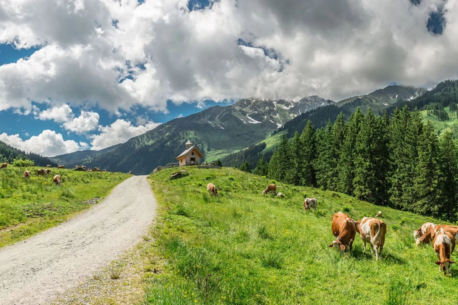 Feriendorf Wildschönau - 6 Personen-Gebieden zomer 5km