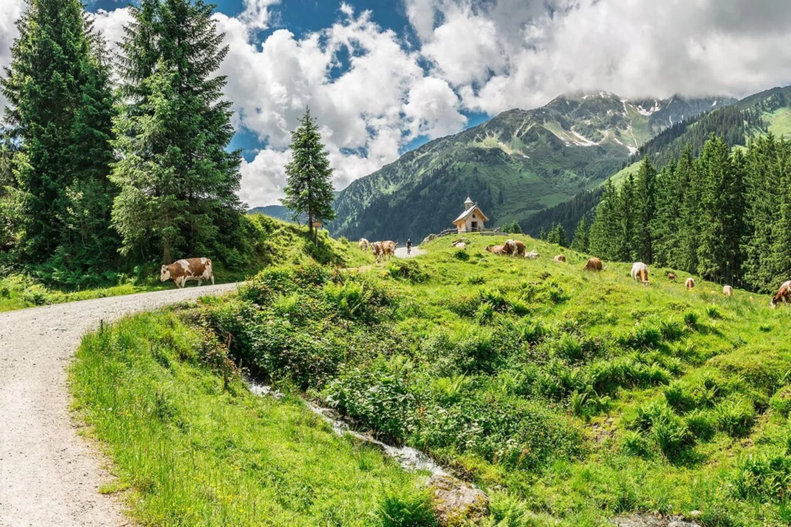 Feriendorf Wildschönau - 2 Personen-Gebieden zomer 5km