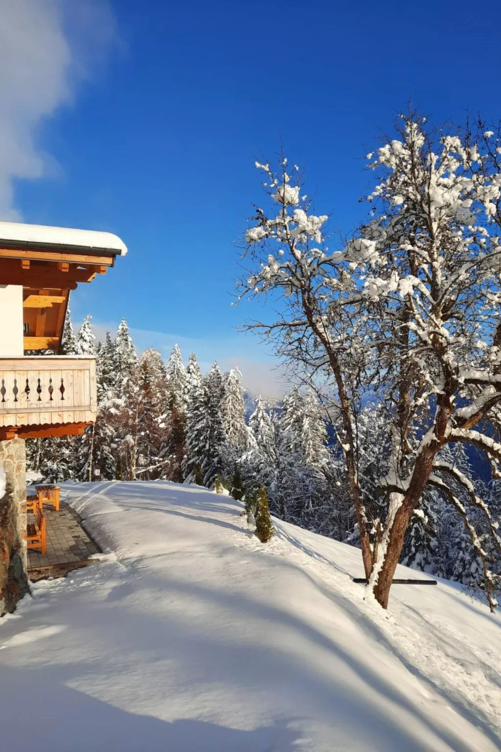 Ferienwohnung Alpenauszeit-Buiten