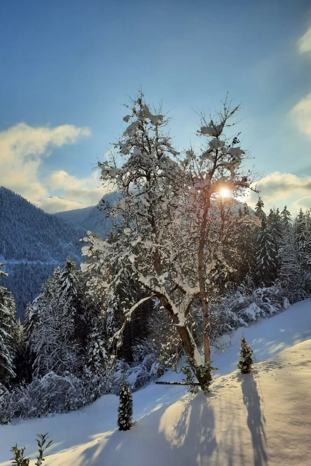 Ferienwohnung Alpenauszeit-Buiten