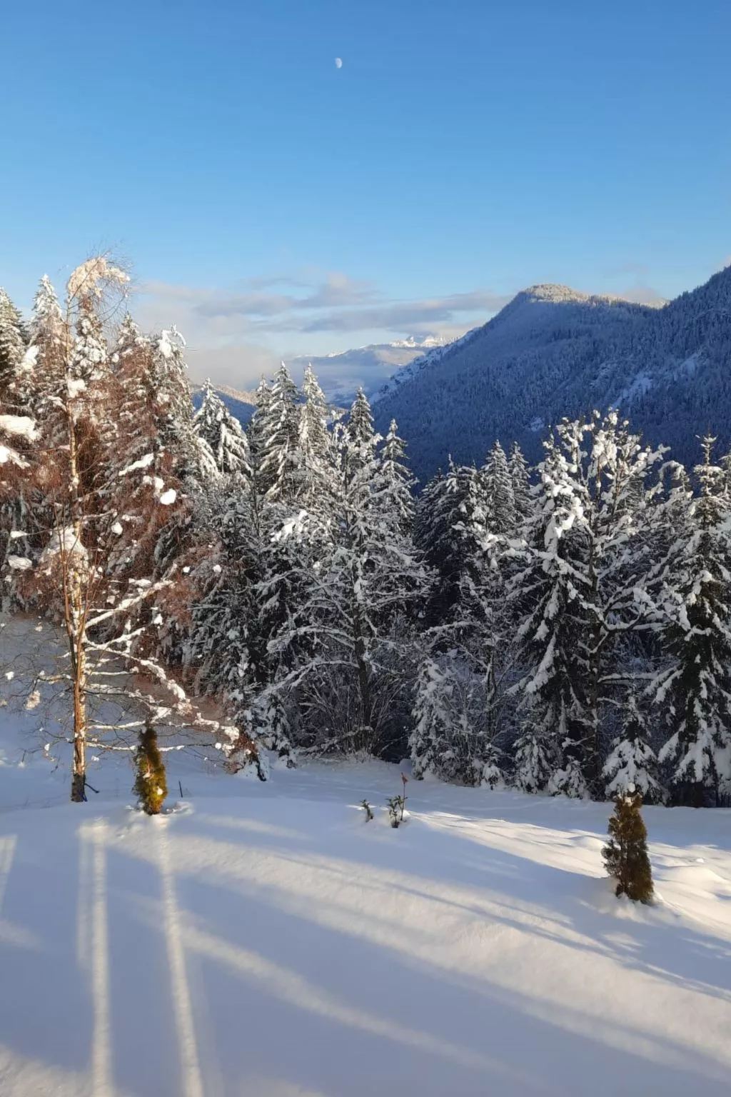 Ferienwohnung Alpenauszeit-Buiten