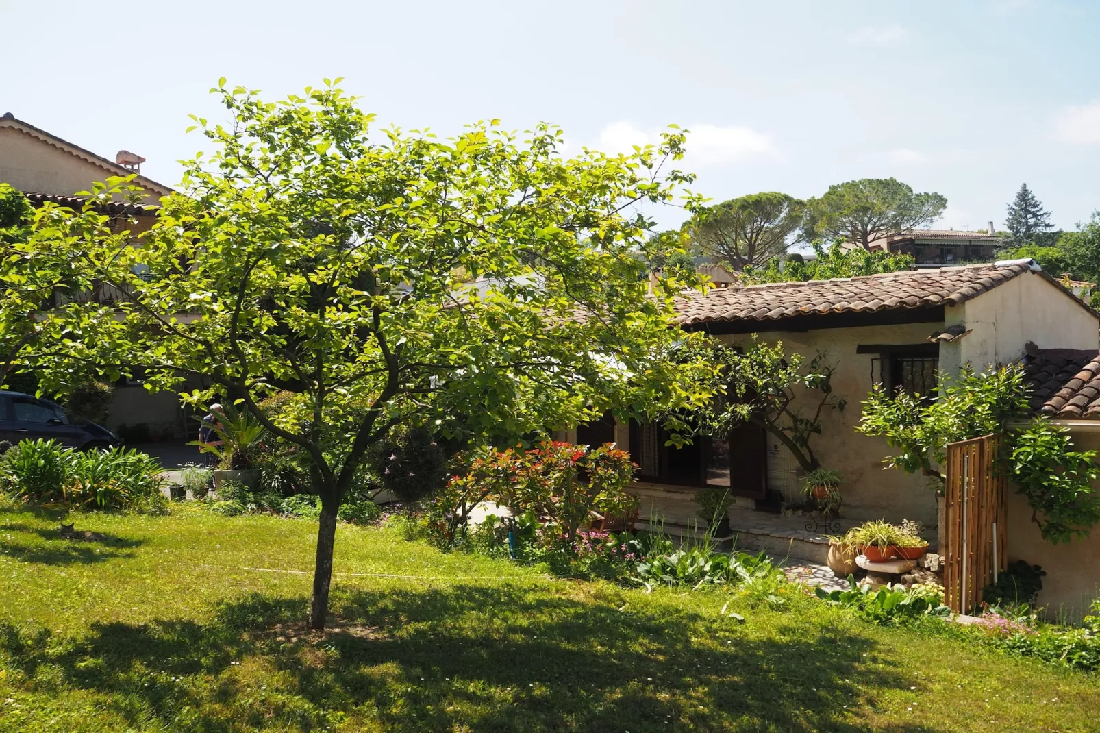 Ferienhaus in Cagnes-sur-Mer-Uitzicht zomer