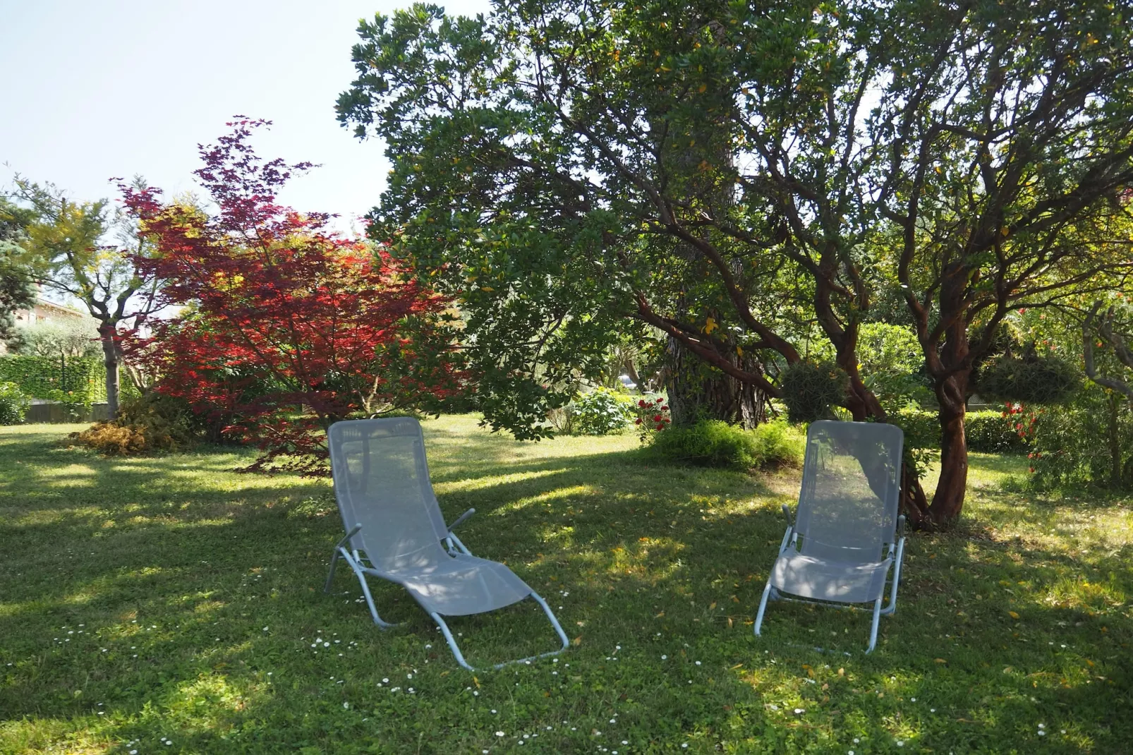 Ferienhaus in Cagnes-sur-Mer-Uitzicht zomer